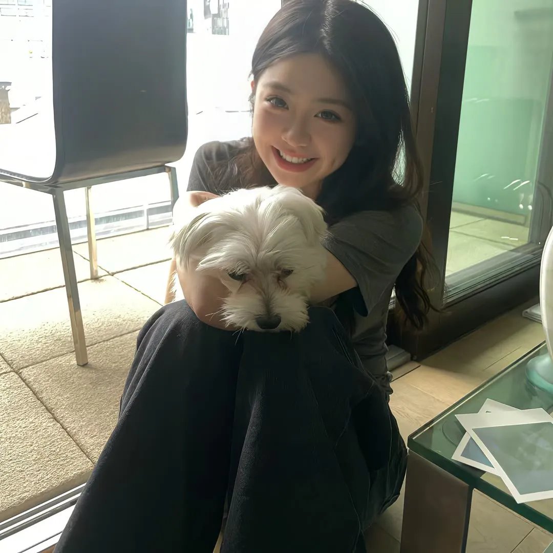 黑帮女婿